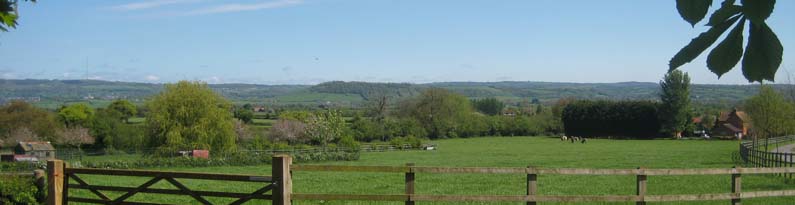 gorgeous views from the old oaks